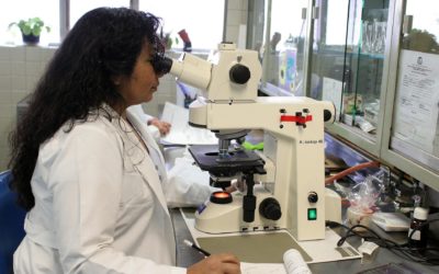 PLFSS 2027 : LES PATHOLOGISTES ALERTENT
